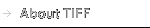 About TIFF